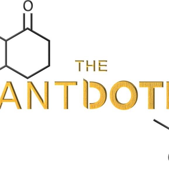 The Antidote Bachata Weekender
